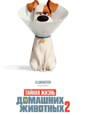 Смотреть Тайная жизнь домашних животных 2 в HD качестве 720p